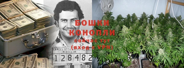 мет Арсеньев
