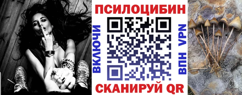 дарк нет официальный сайт  как найти закладки  Сурск  Галлюциногенные грибы Cubensis 